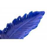 BD/BD-138215-1.JPG
