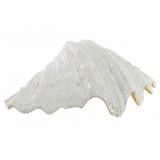 BD/BD-150110-2.JPG