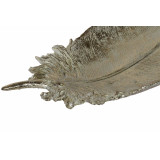 BD/BD-159235-1.JPG