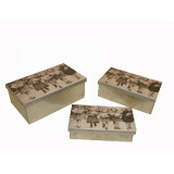 CG/CG-54317.JPG