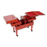 CS/CS-108869-1.JPG
