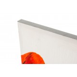 CU/CU-117058-1.JPG