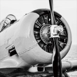 CU/CU-125688.JPG
