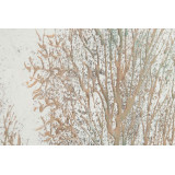 CU/CU-137338-2.JPG