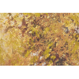 CU/CU-138161-2.JPG