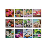 CU/CU-143325.JPG
