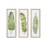 CU/CU-155620.JPG
