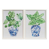 CU/CU-164883.JPG