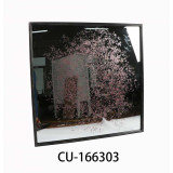 CU/CU-166303.JPG