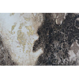 CU/CU-173330-3.JPG