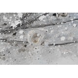 CU/CU-176735-2.JPG