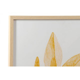 CU/CU-177965-1.JPG