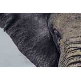 CU/CU-177967-2.JPG