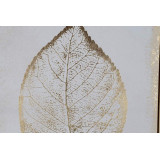 CU/CU-177971-2.JPG