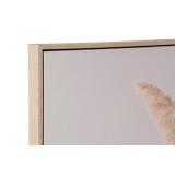 CU/CU-177975-1.JPG