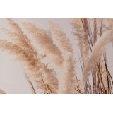 CU/CU-177975-2.JPG