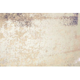 CU/CU-179960-2.JPG