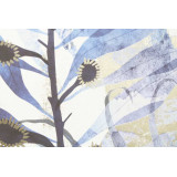 CU/CU-179965-2.JPG