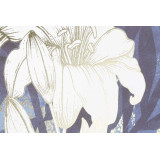 CU/CU-179966-2.JPG