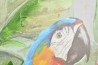 Obraz \TROPICAL-PARROTS\ 190x90x3/3dr.