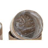 DC/DC-218917-2.JPG
