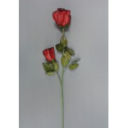 Růže \RED\ 60cm/2x květ (latex)