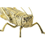 DH/DH-149433-1.JPG