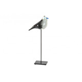 DH/DH-154994.JPG