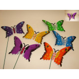 DH/DH-50868.JPG
