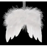 DP/DP-00125.JPG