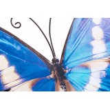 DP/DP-119950-1.JPG