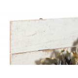 DP/DP-143005-2.JPG