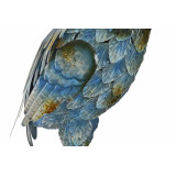 DP/DP-148573-2.JPG
