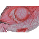 DP/DP-148574-2.JPG