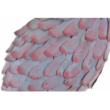 DP/DP-148575-2.JPG