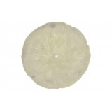 DP/DP-154117.JPG