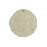 DP/DP-154118.JPG