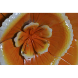 DP/DP-164347-2.JPG