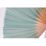 DP/DP-169930-1.JPG