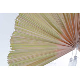 DP/DP-169935-1.JPG
