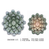 DP/DP-180291.JPG