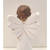 FD/FD-19643-3.JPG