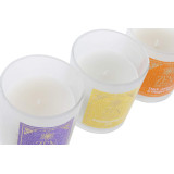 IN/IN-170368-3.JPG