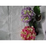 JA/JA-107910.JPG