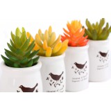JA/JA-113584-1.JPG