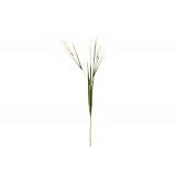 JA/JA-118735-1.JPG