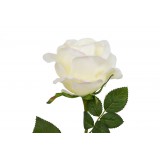 JA/JA-118753.JPG