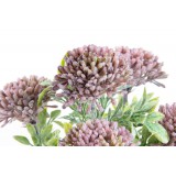 JA/JA-126298-1.JPG