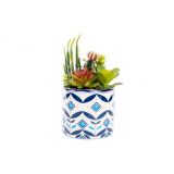 JA/JA-130070.JPG