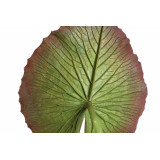 JA/JA-158575-2.JPG